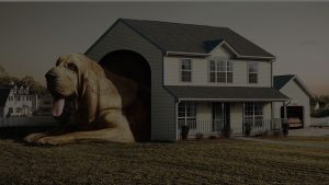 homemidbg2